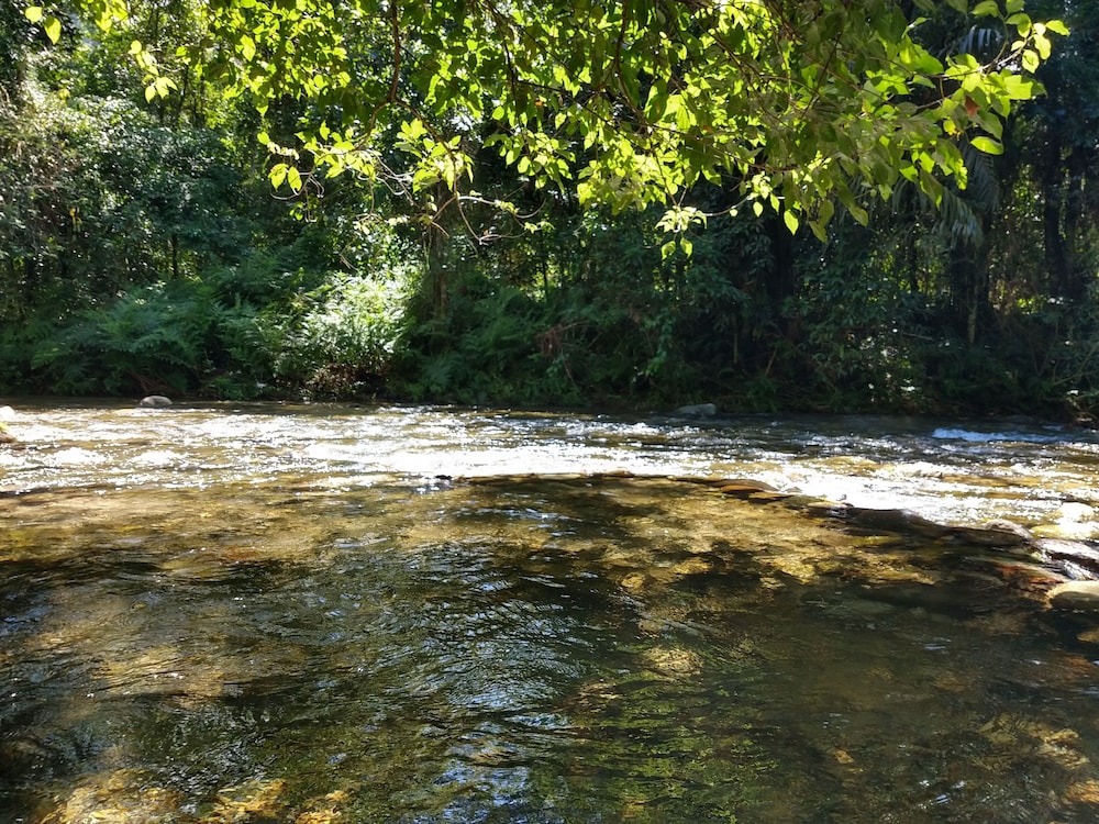 Photo 36