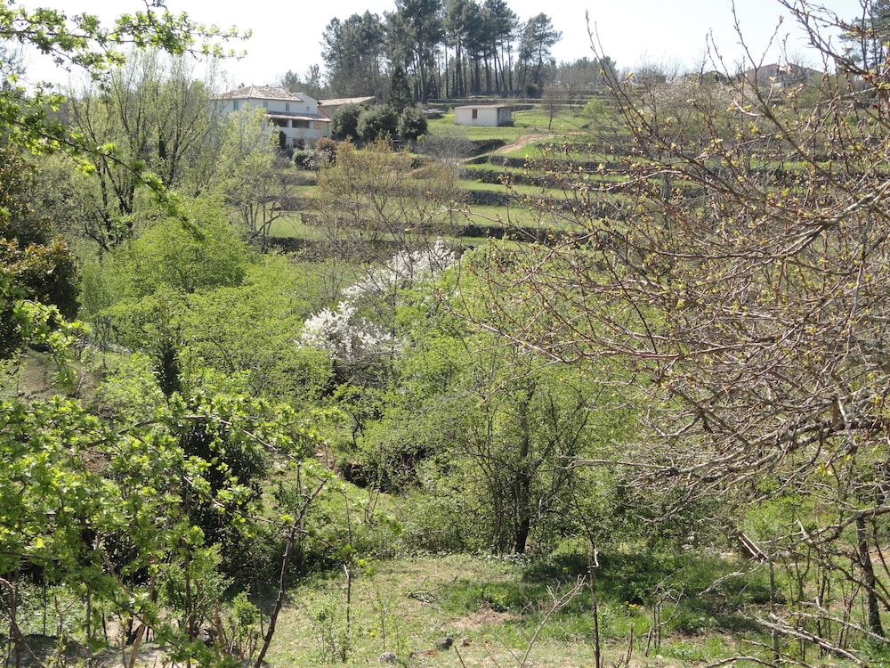 Chambres d'hôtes Au creux du Chambon