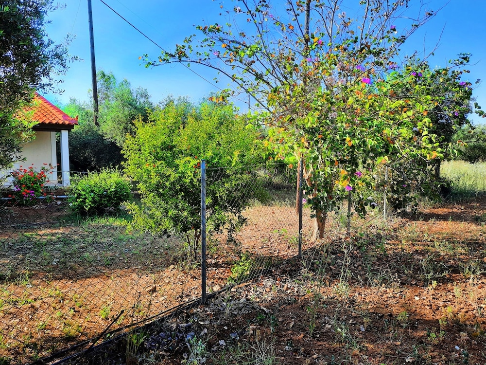 Agrilis Cottage Near the Beach