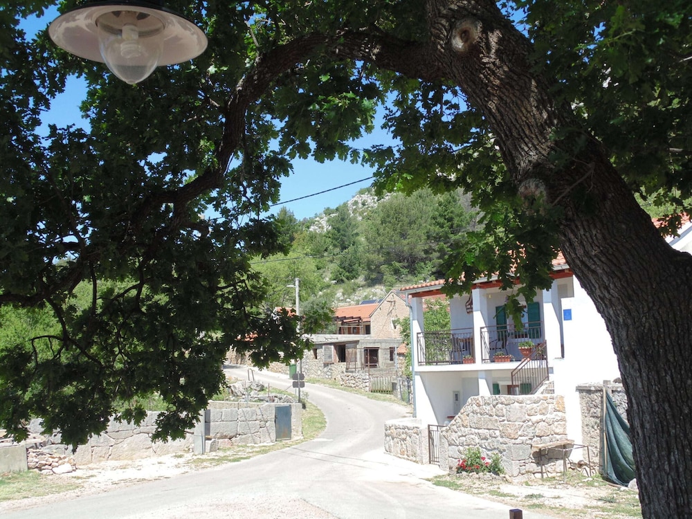 Photo 21