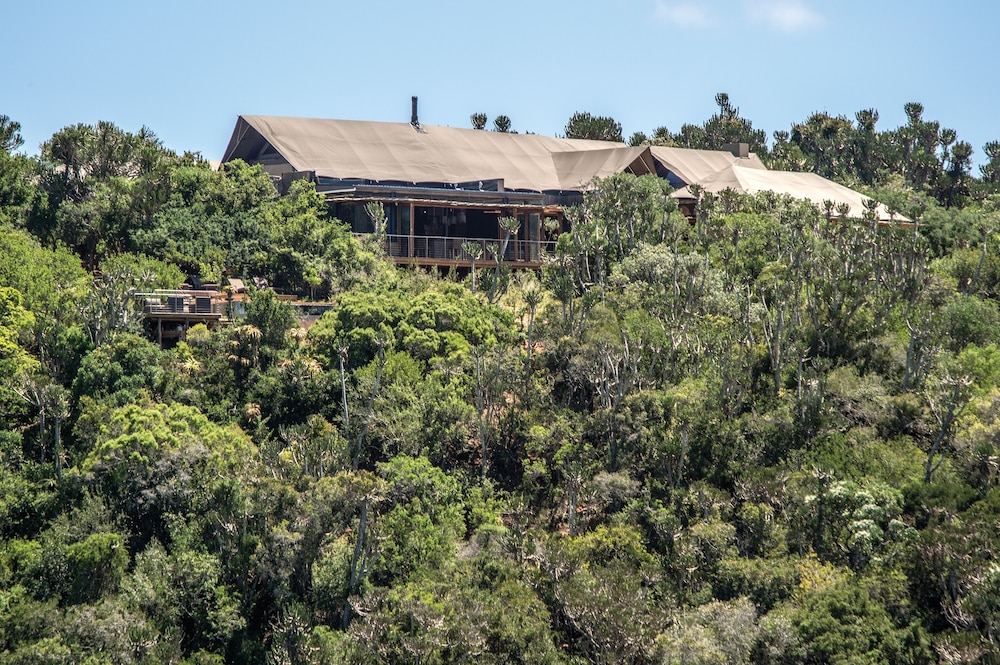 Kariega Game Reserve Settlers Drift