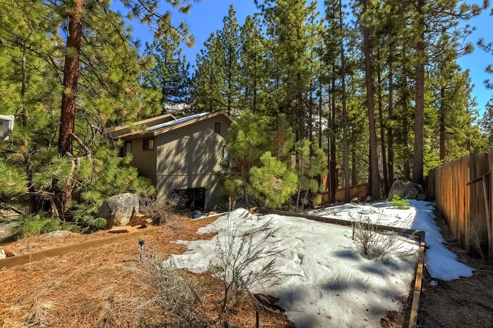Mystic Pine view 4