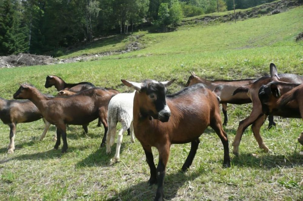 Agriturismo Le Reve