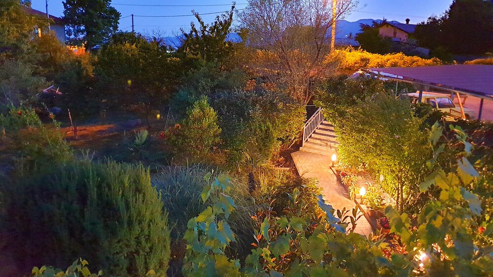 Photo 21