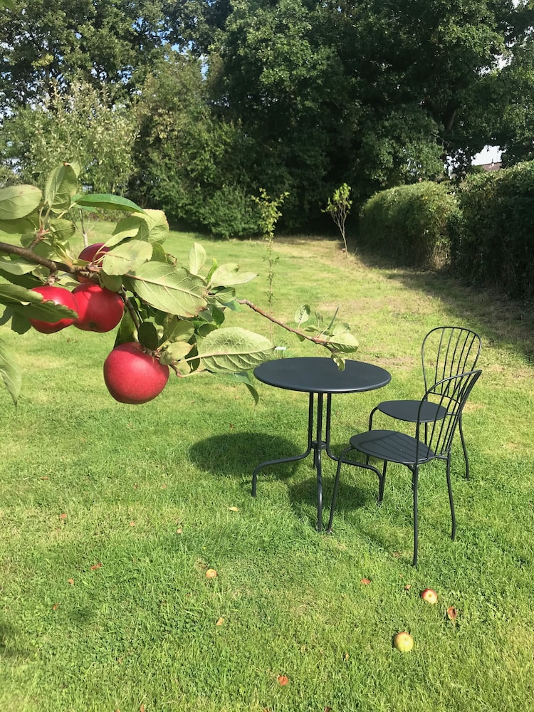 Rosebank Bed & Breakfast