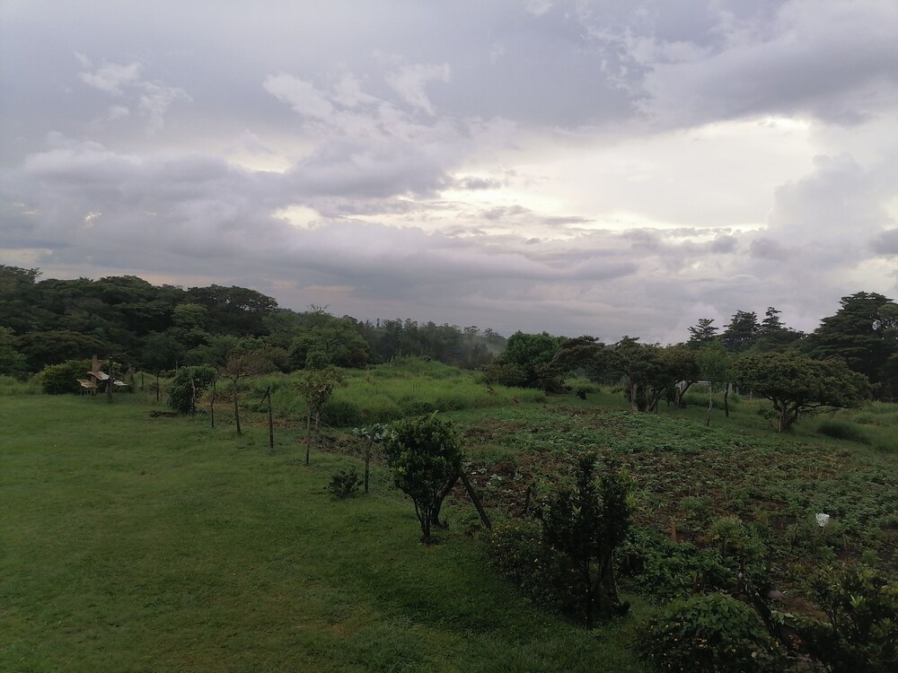 Photo 41