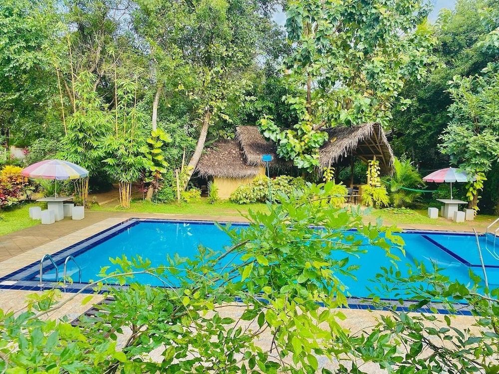 Woodland Sanctuary