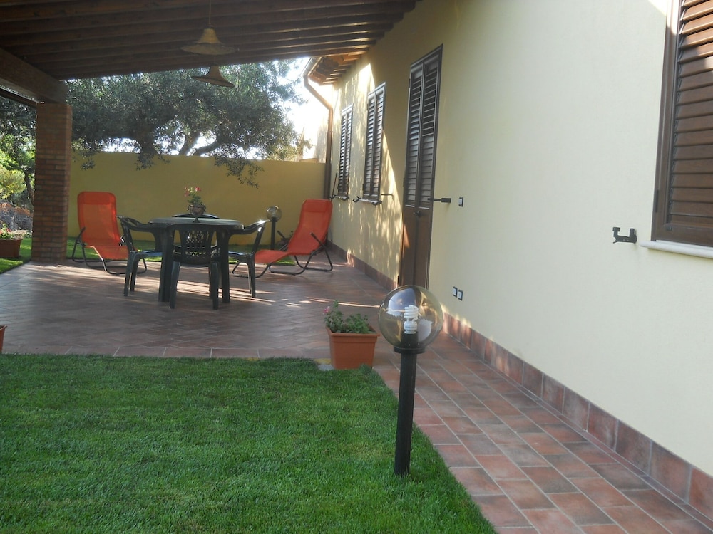 House Surrounded by Olive Trees en Sciacca