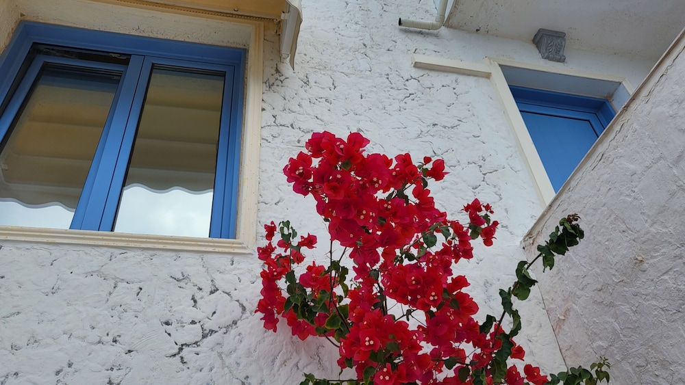 Photo 42