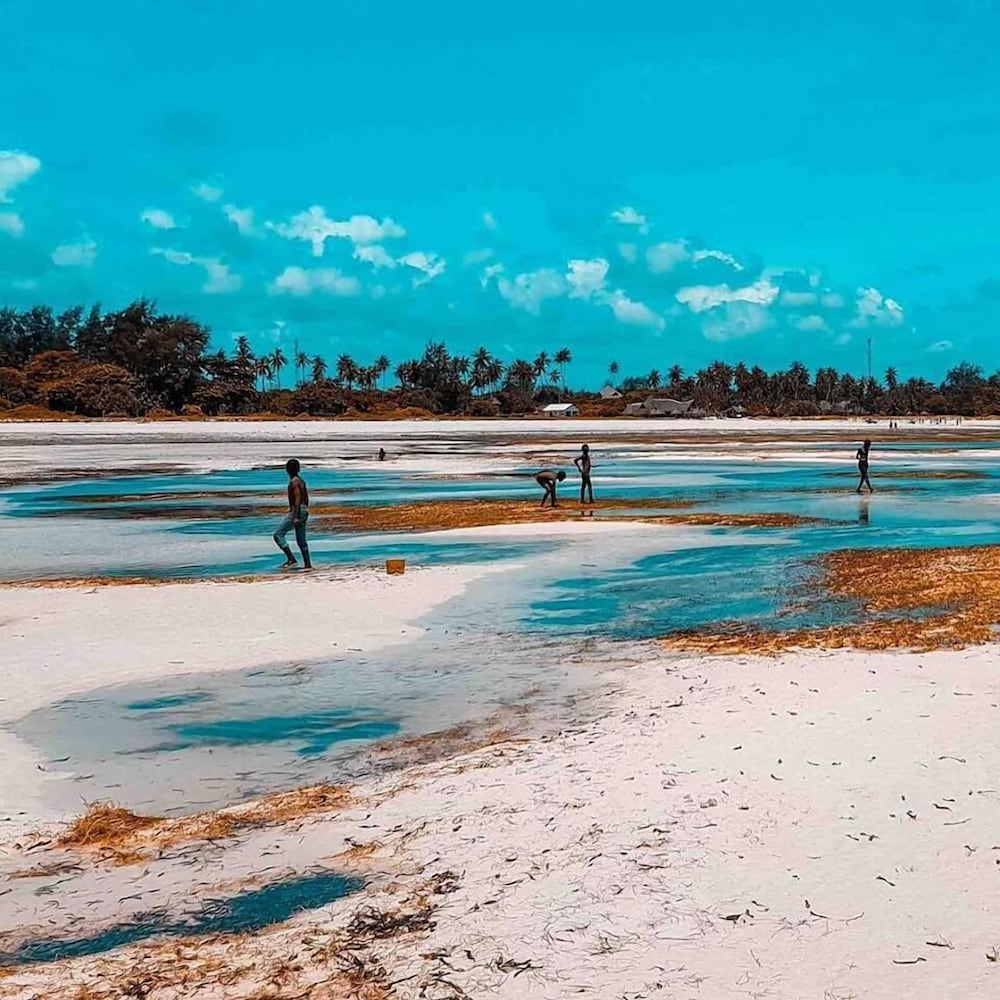 Kwale Golden Guest House, photo 37
