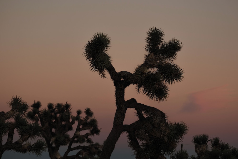 RESET Hotel Joshua Tree