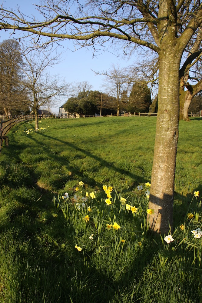 Blessingbourne Country Estate