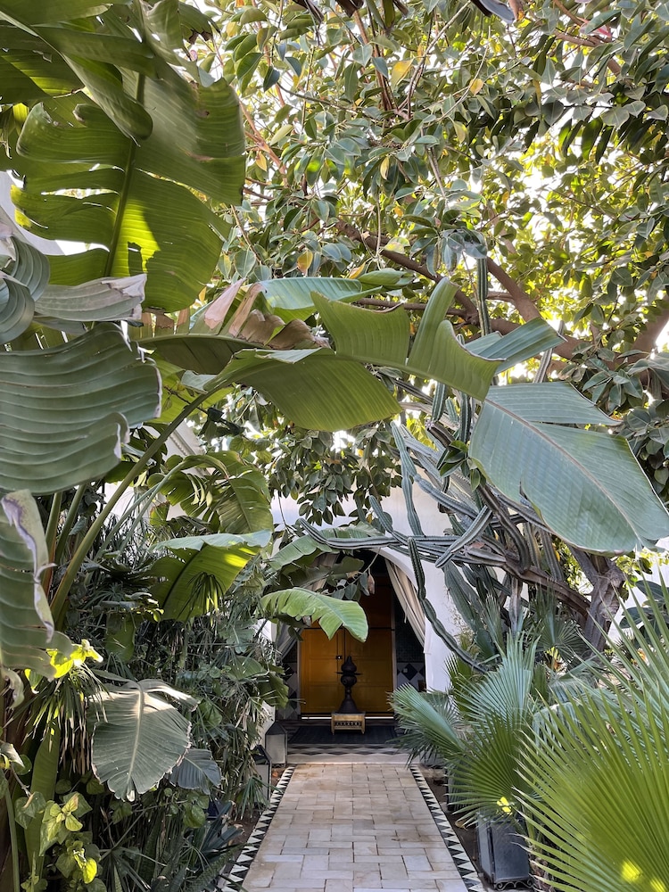 Dar El Gaied