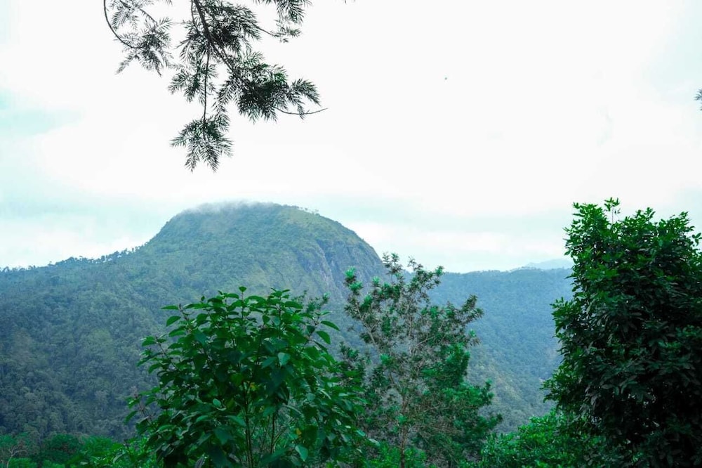 Silver Oak Resort Wayanad