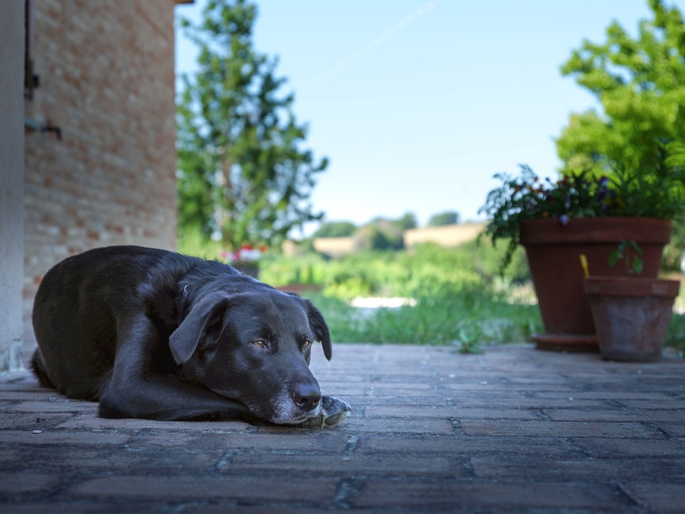 Casale Talevi