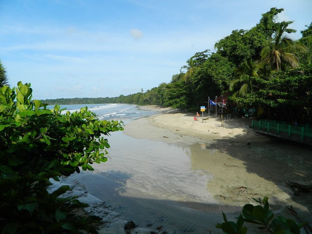Congo Bongo EcoVillage Costa Rica