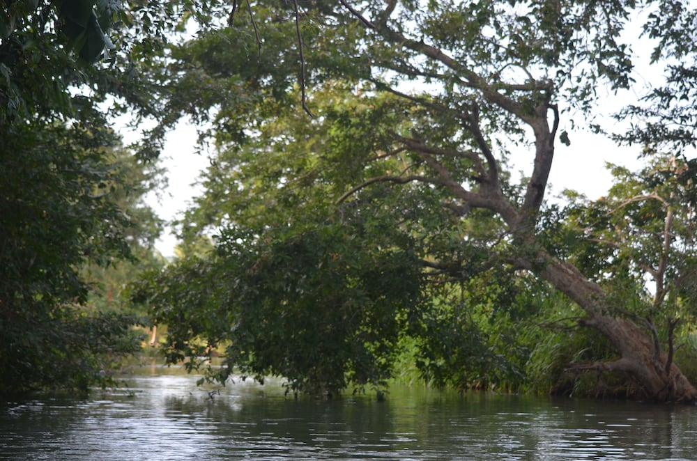 Makulu Safari Camping