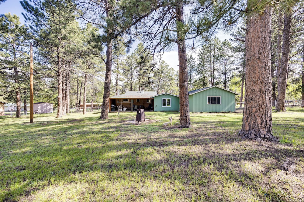 1 Mi to Town: Woodland Park Home w/ Yard!