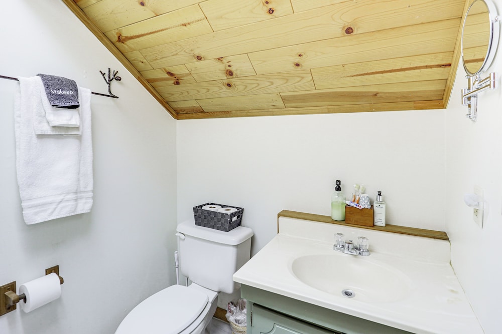 2 Mi to Skiing: Blue Ridge Mtn Cabin w/ Hot Tub!