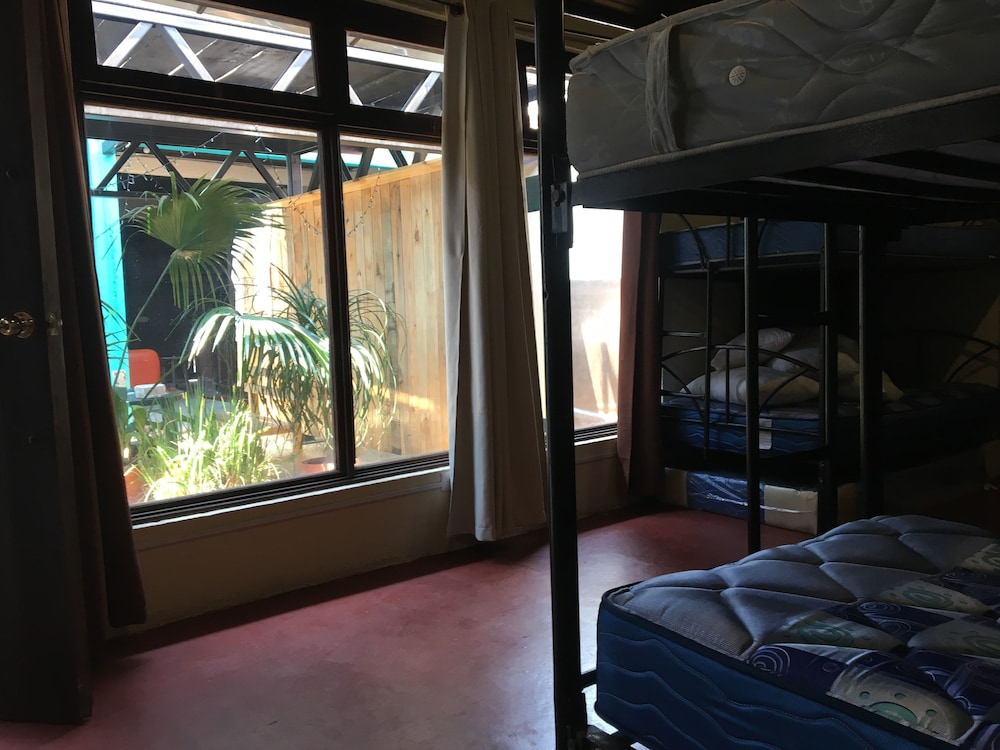 Greenhouse Hostel view 2