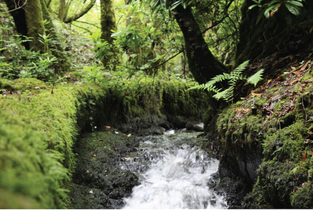 Afon Rhaiadr Country House