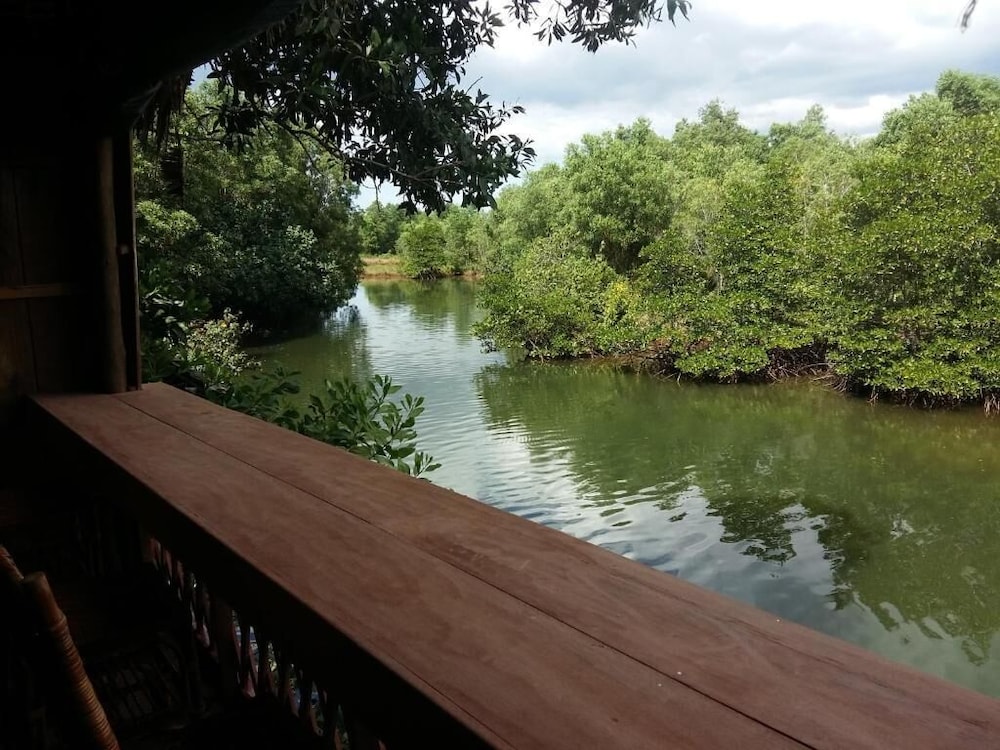 Mangroves & More