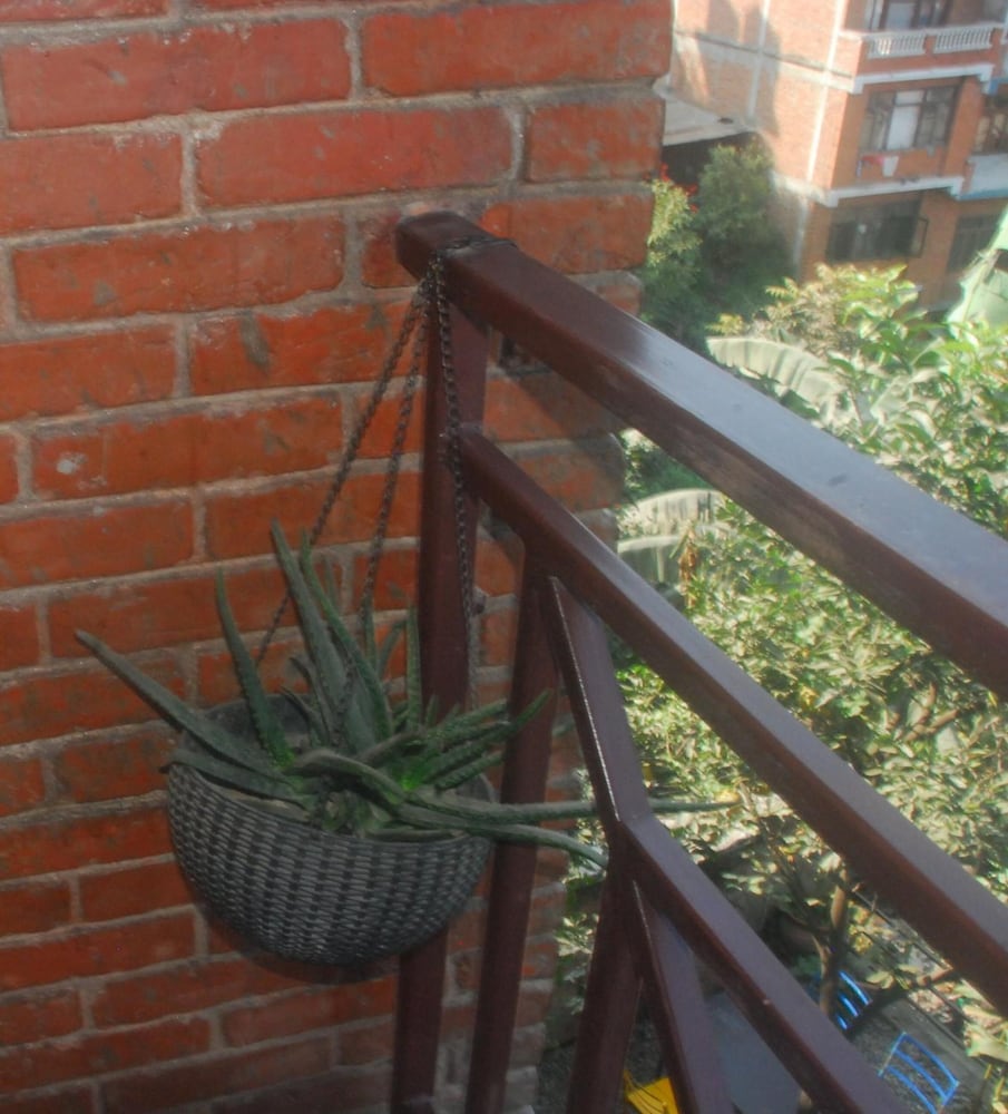 Photo 16