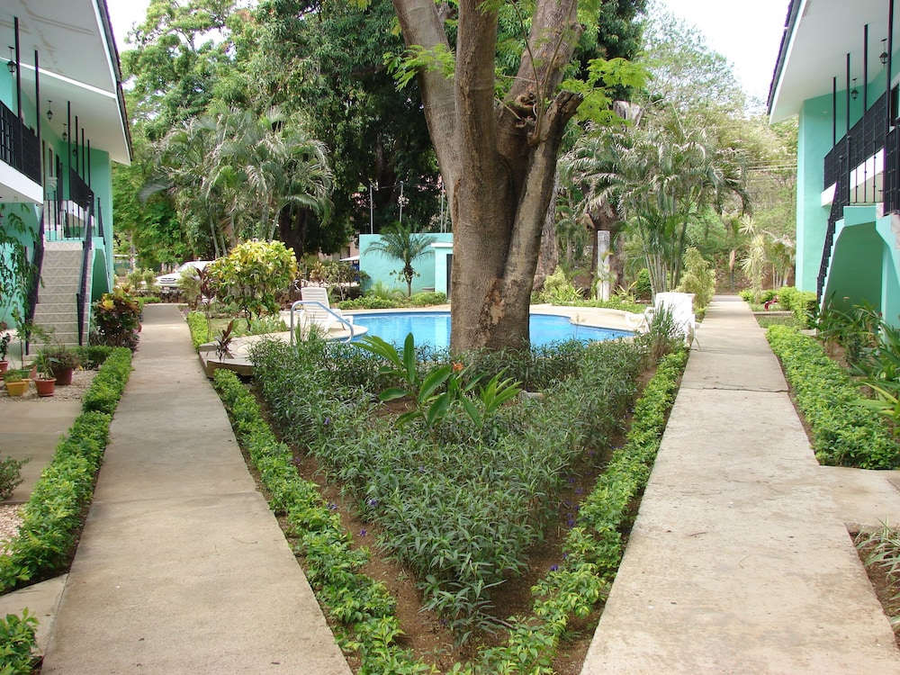Green Forest of Coco Beach Studios