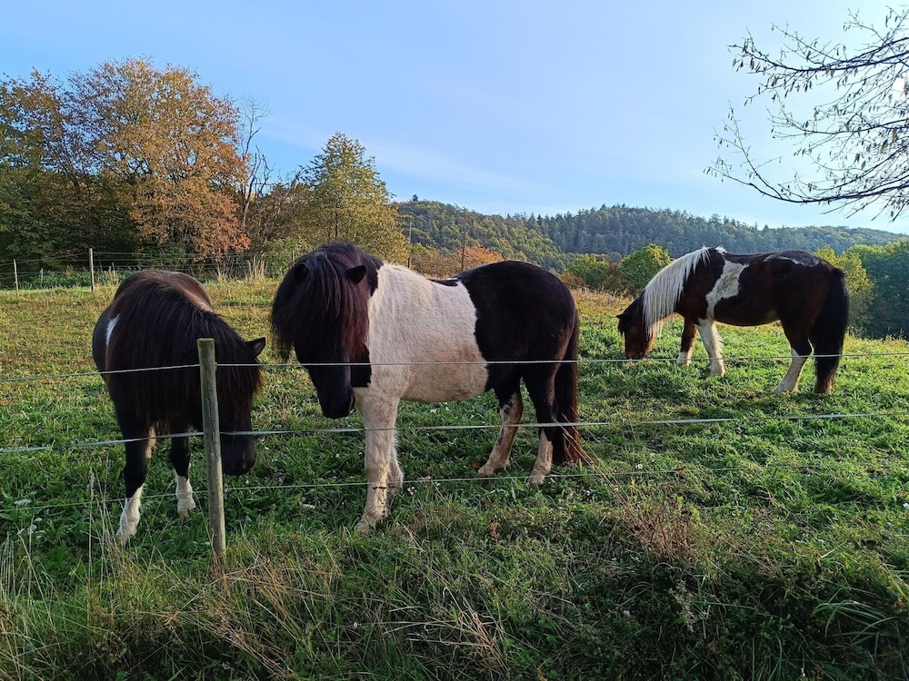 Ferienwohnung mit Bergblick