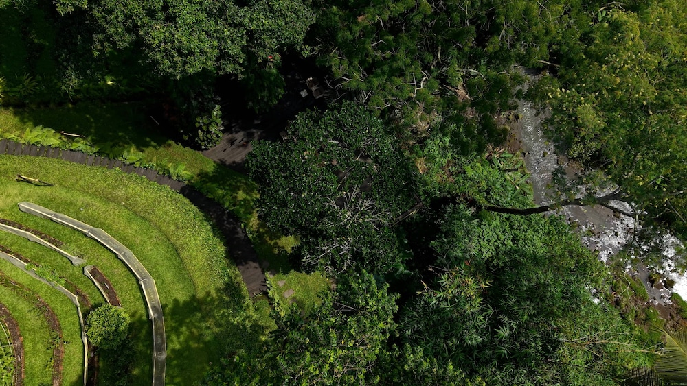 Sumeru Botanical Estate