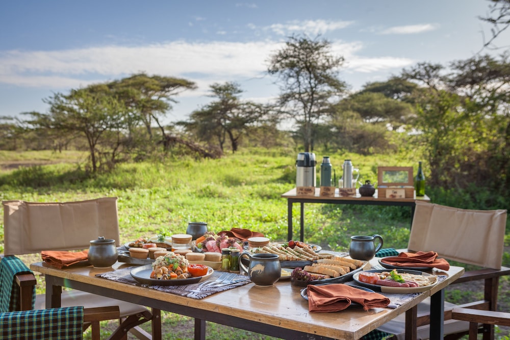 Gnu Ndutu Camp