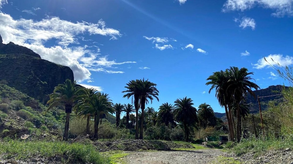 Large Country House Near Maspalomas & Fataga