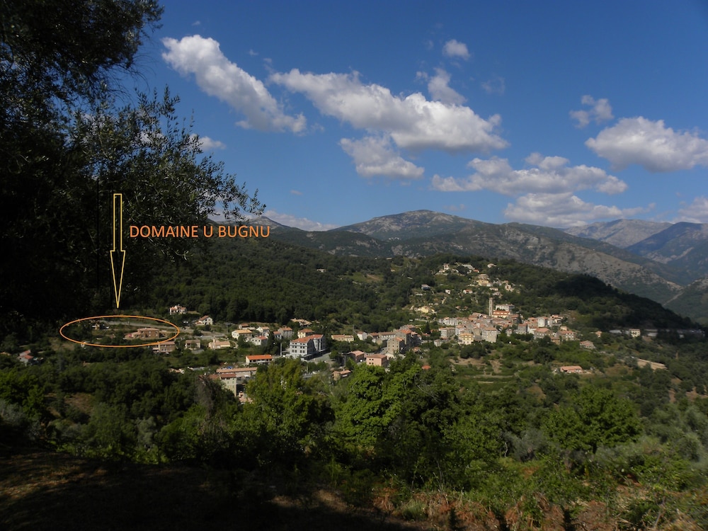 DOMAINE U BUGNU