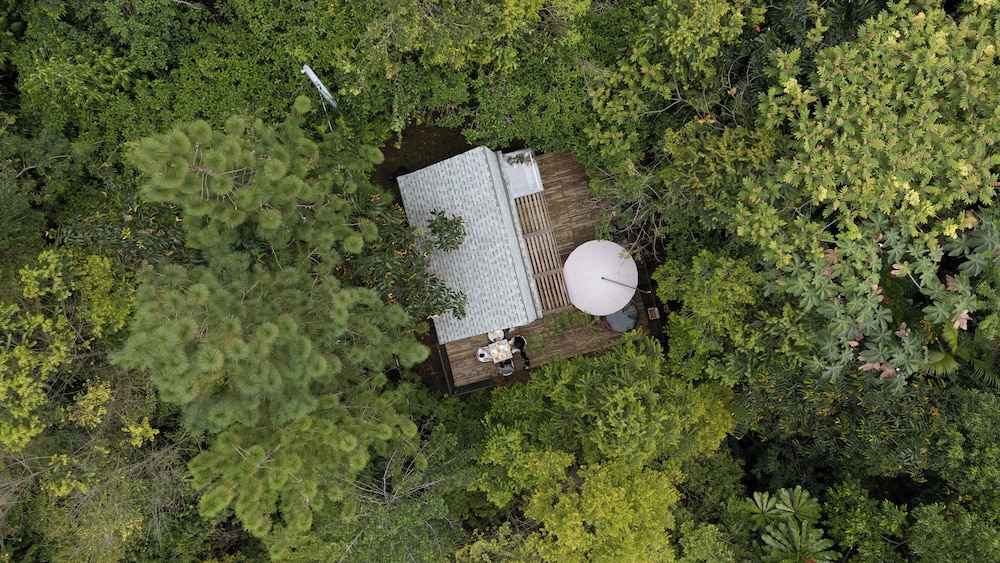 Silvery Bungalows en el Bosque