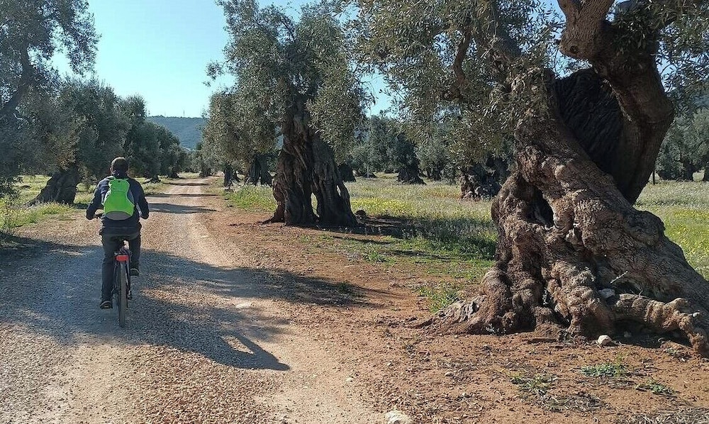 Masseria San Lorenzo Resort
