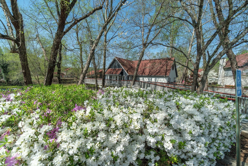 Loreley Resort