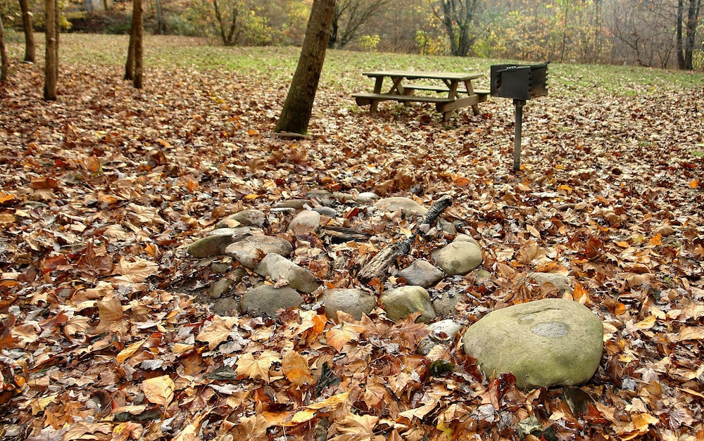 Jon's Pond on Cosby Creek - 2 Bedrooms, 2 Baths, Sleeps 6 Cabin by RedAwning