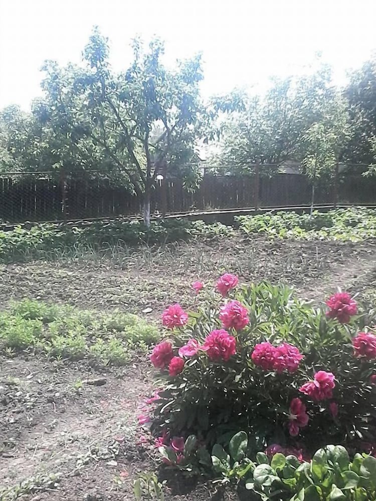 Photo 24