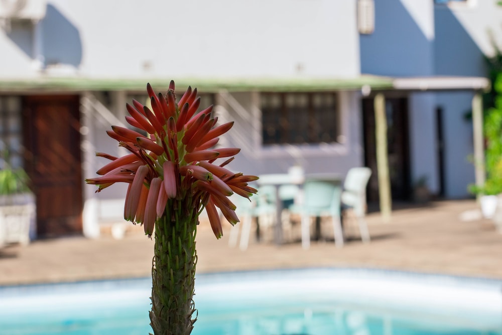 African Sands Bed & Breakfast
