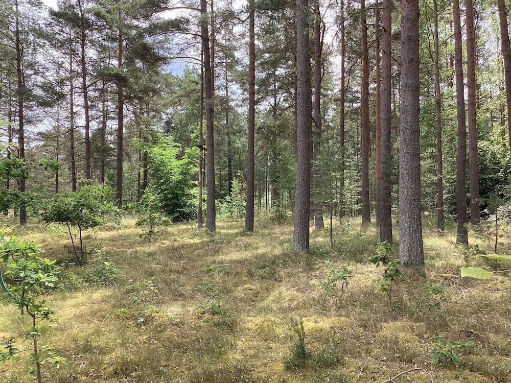 Perfect Family Getaway in Osterlen