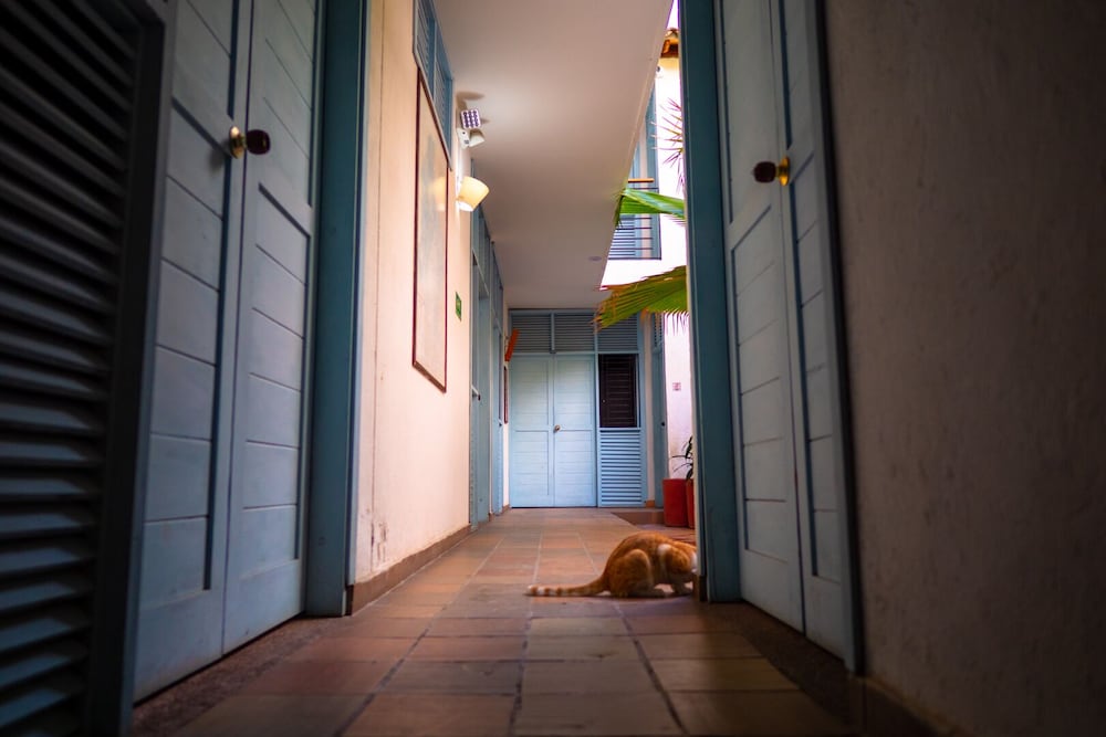 Aluna Hostel B&B