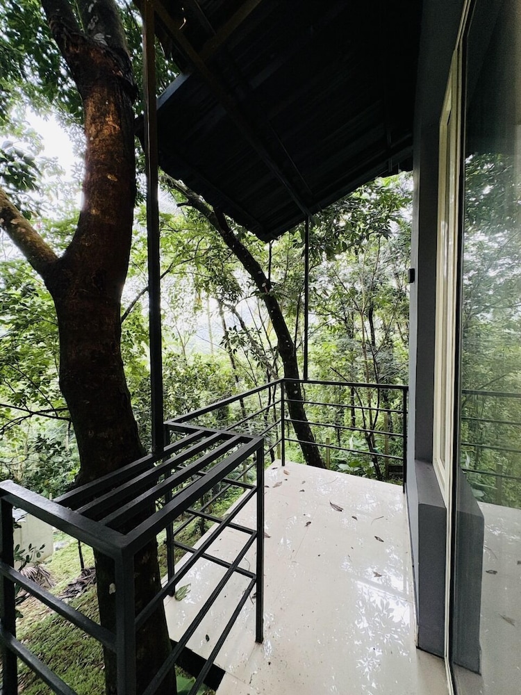 Vayalada Garden resort