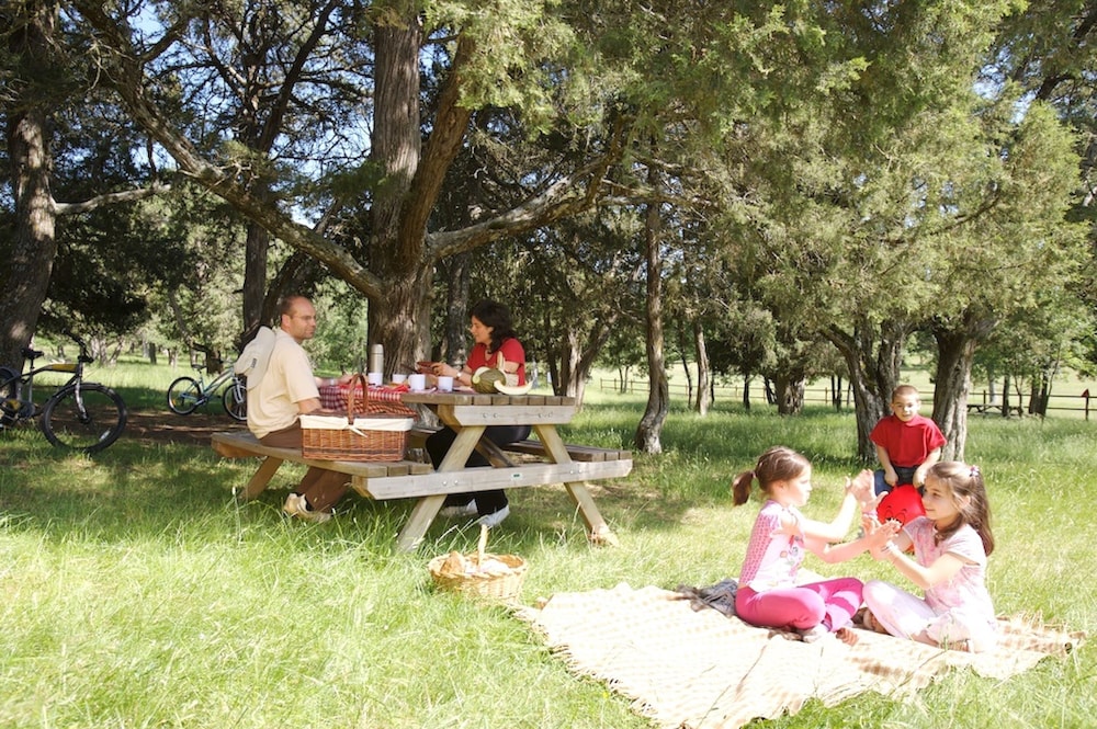 Hotel Restaurante Quintanares - Property Image 19