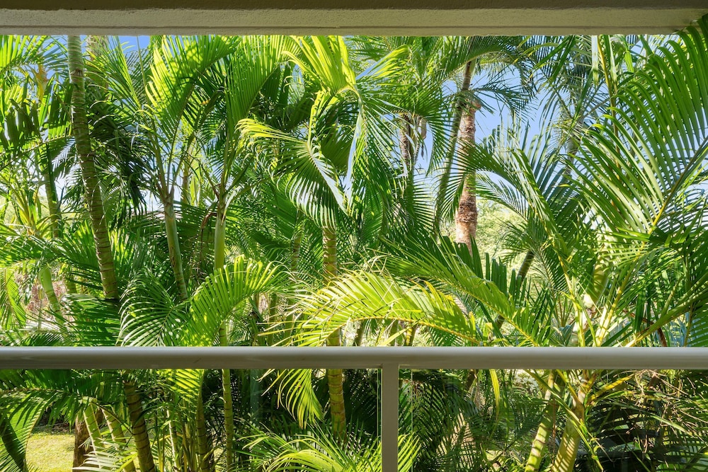 Maui Banyan H207 in Kihei