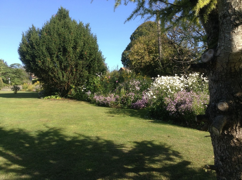 Photo 44