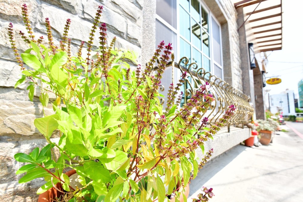 Kenting Dream B&B