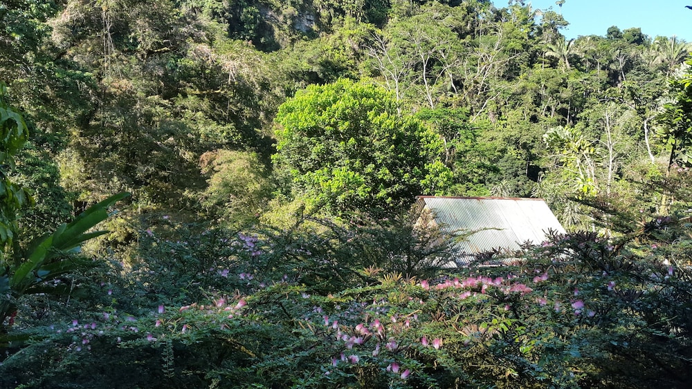 Playa Selva Lodge