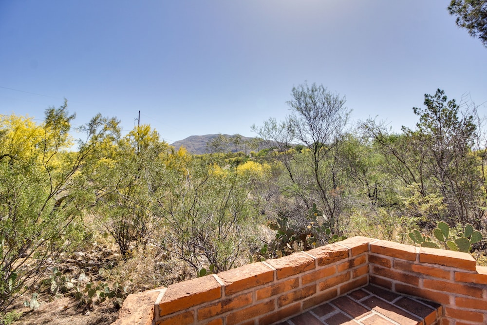 Eclectic Tucson Home 2 Mi to Saguaro National Park view 4