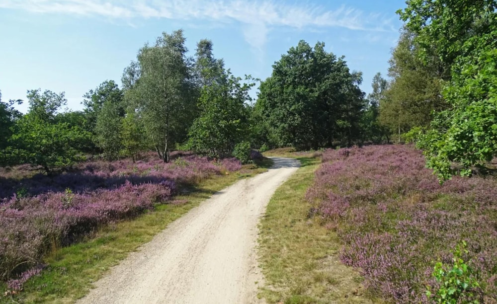 Forest Villa in Markelo With Sunny Garden