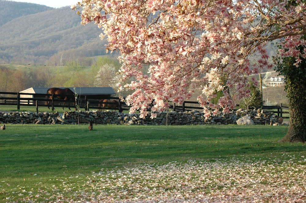 Glen Gordon Manor